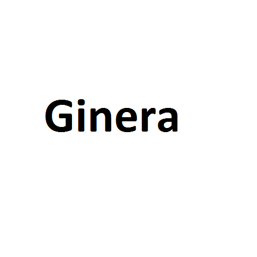 Ginera